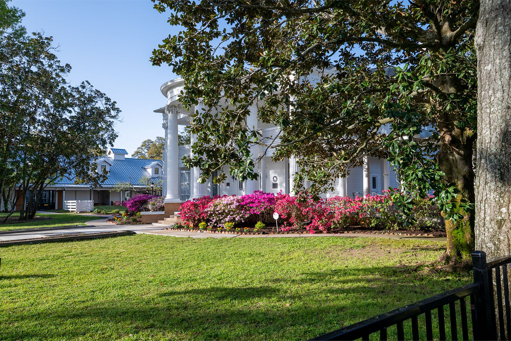 A large white house with tall columns and a wraparound porch sits behind blooming pink azalea bushes and green grass, partially shaded by a leafy tree on a sunny day.